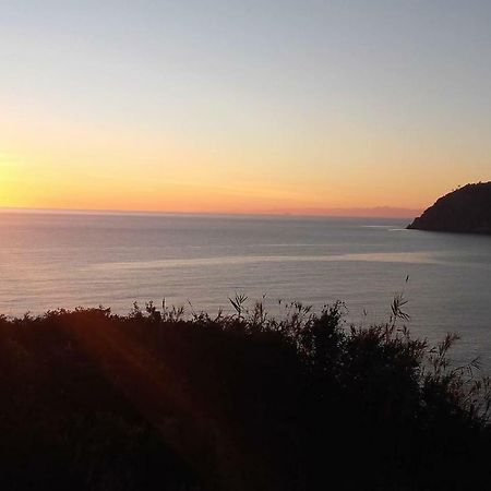 Un Gioiello Con Vista Mare Villa Moneglia Exteriör bild