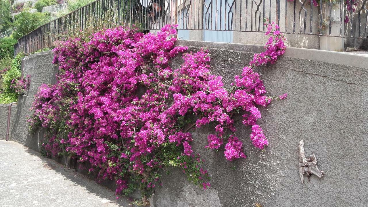 Un Gioiello Con Vista Mare Villa Moneglia Exteriör bild